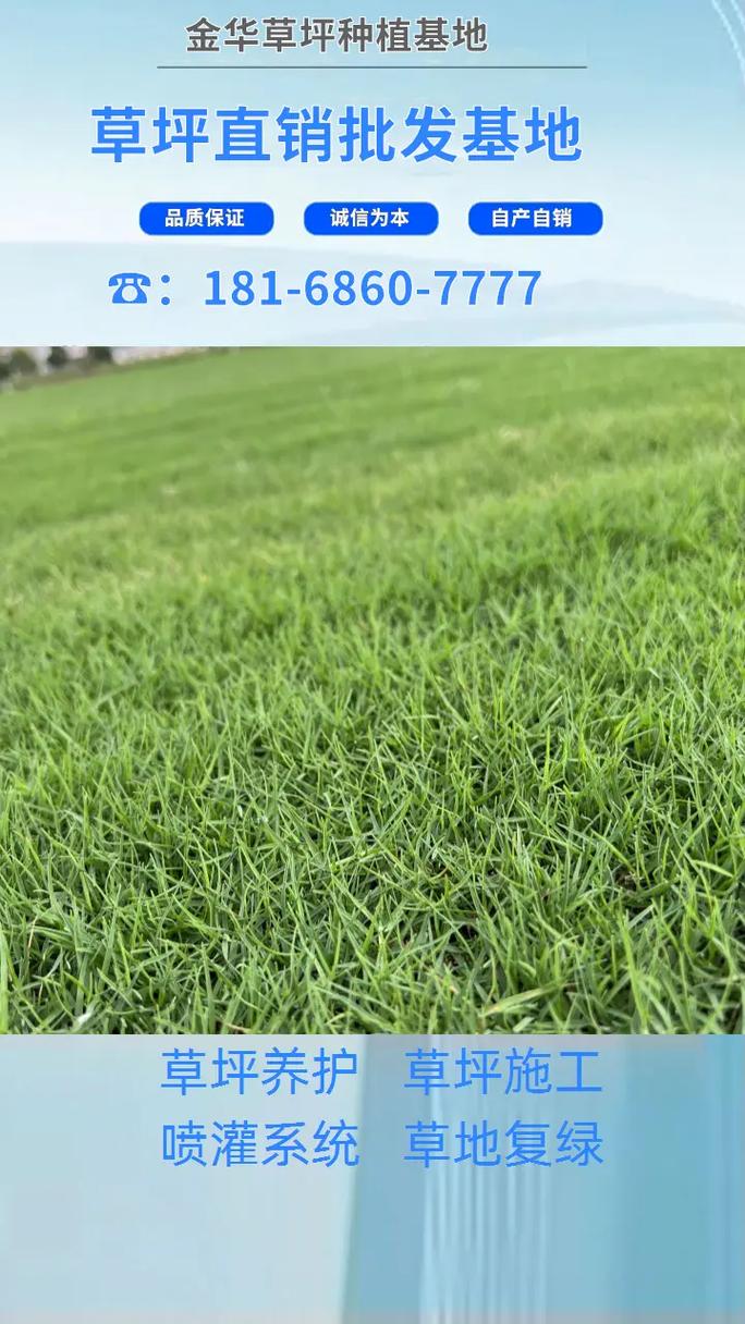 金华草皮直销指南 种类大全、四季青草坪与181草皮种植全解析