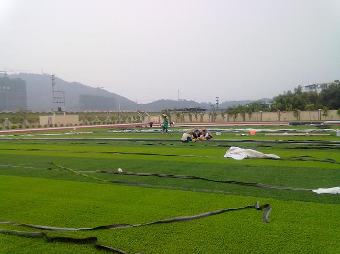 重庆人造草皮厂家与草皮种植全指南 从选材到养护的实用攻略